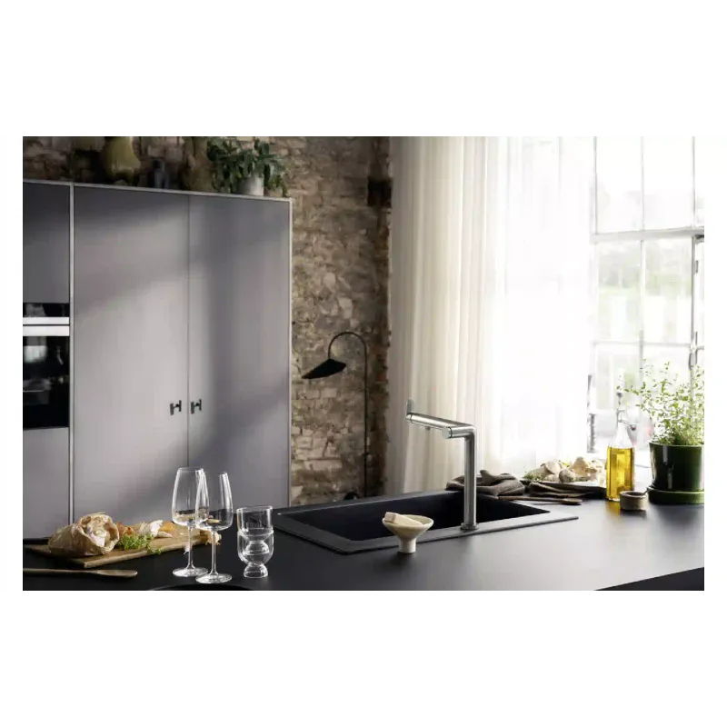 صنبور المطبخ Hansgrohe (76804800)
