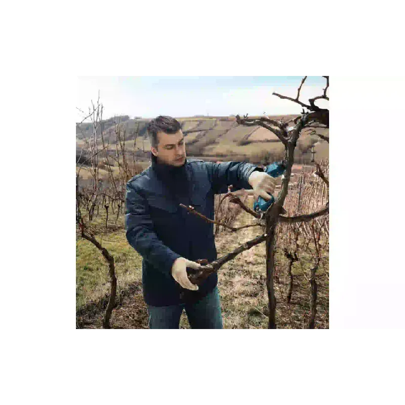 Ножици за ножици Bosch (0.601.9K1.020)