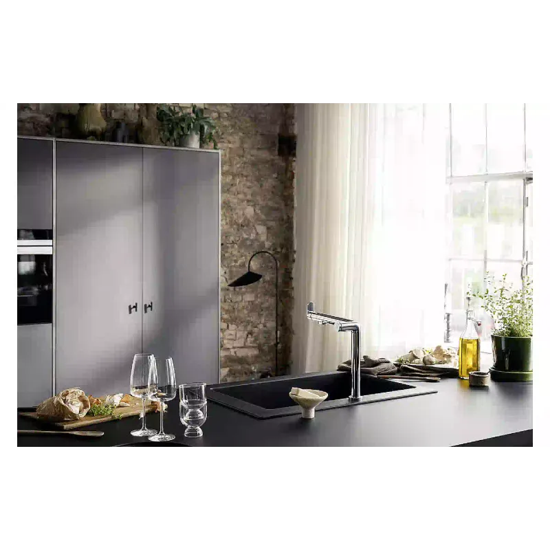 Βρύση κουζίνας Hansgrohe (76804000)