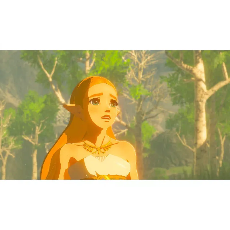 Game Games Software The Legend of Zelda Breath of the Wild  (045496420055)