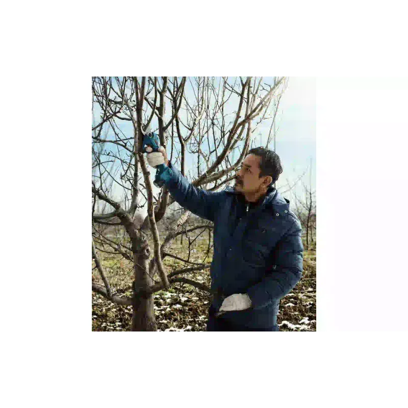 Ножици за ножици Bosch (0.601.9K1.021)