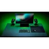Ігрова поверхня Razer  Black (RZ02-03330300-R3M1)