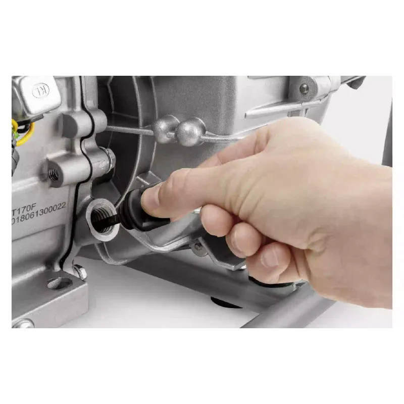 Bencinska motorna črpalka Karcher (1.042-210.0)