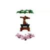 Konstruktor LEGO Icons Bonsai (10281-)