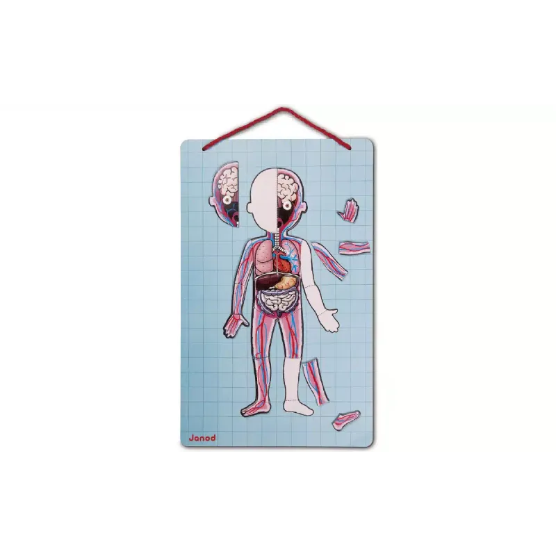 Μαγνητικό σετ Janod (J05491)