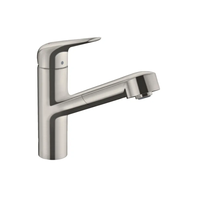 Küchenarmatur Hansgrohe Focus, Steel (71814800)