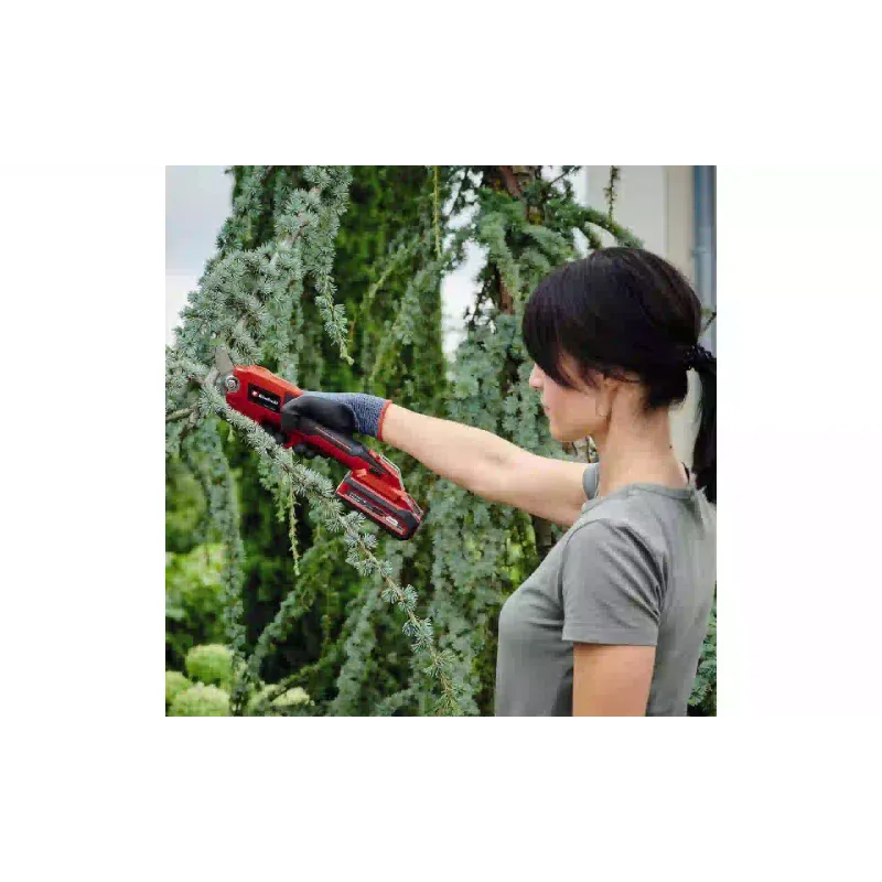 Secateurs Einhell (3408300)