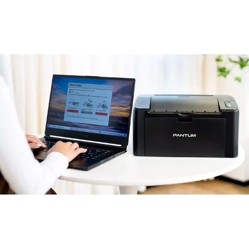 Nyomtató Pantum (P2500NW)