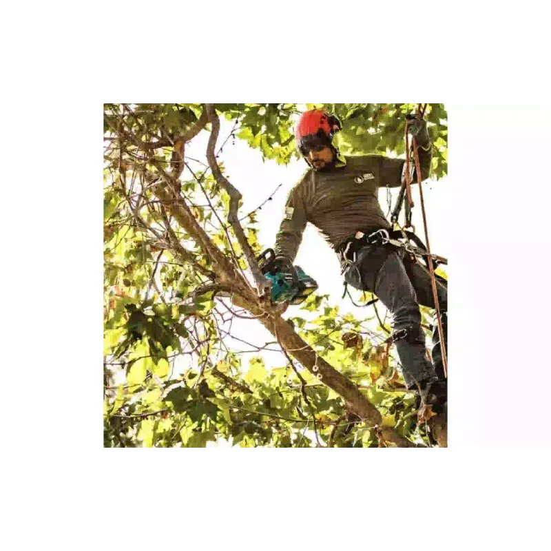 Sierra de cadena Makita (DUC406Z)