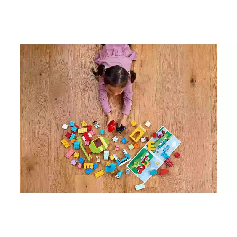 Konstruktor LEGO Duplo Basic Set Deluxe Brick Box (10914)