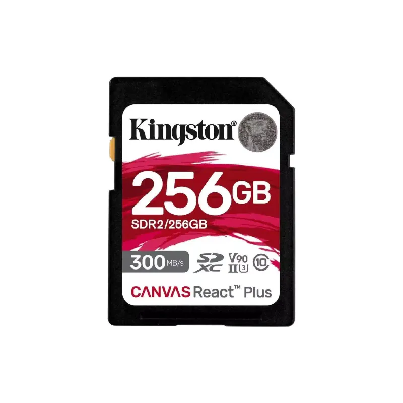 Speicherkarte Kingston (SDR2/256GB)