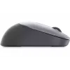Rato Dell, Ice (570-ABHI)