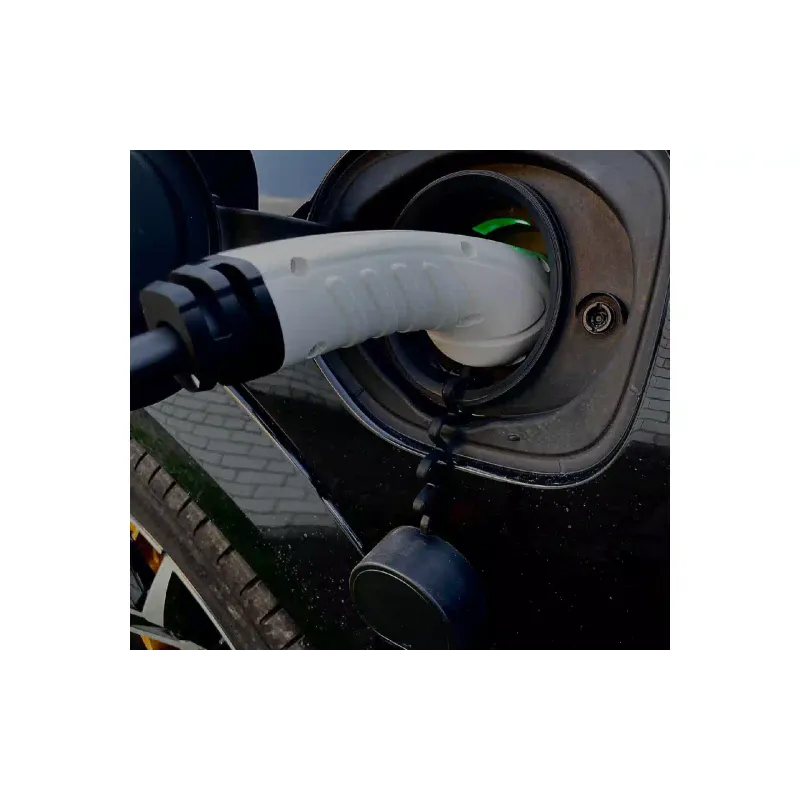 Polnilni kabel za električna vozila Digitus Schuko - Type 2 (DK-1P16-A-050)