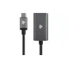 Adapter 2E USB-C - DP (2E-W1404)