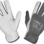Arbeitshandschuhe Neo Tools, White (97-656-8)