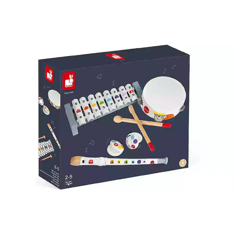 Conjunto de instrumentos musicales Janod (J07600)