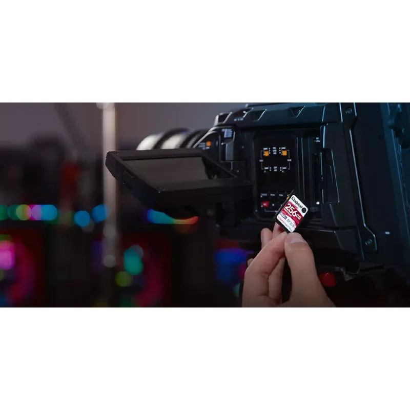 Speicherkarte Kingston (SDR2/256GB)