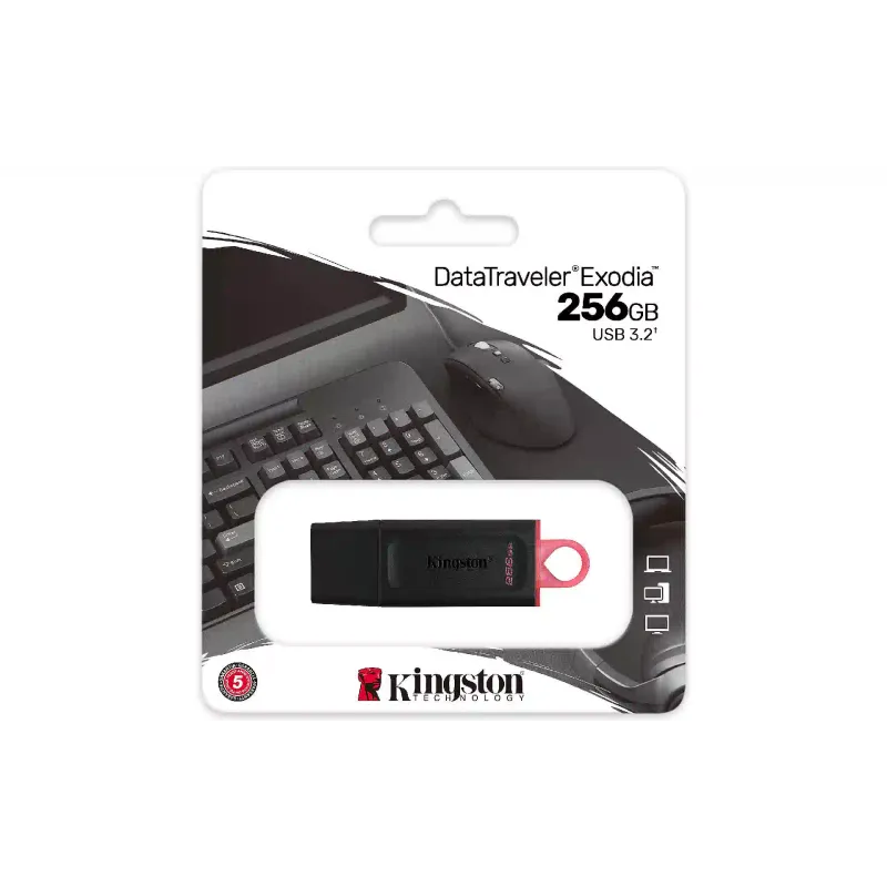 USB устройство Kingston, Black (DTX/256GB)