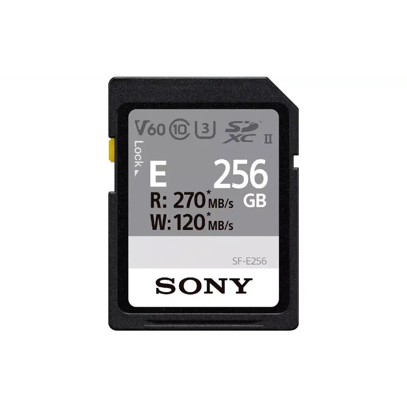 Cartão de memória Sony (SFE256.ET4)