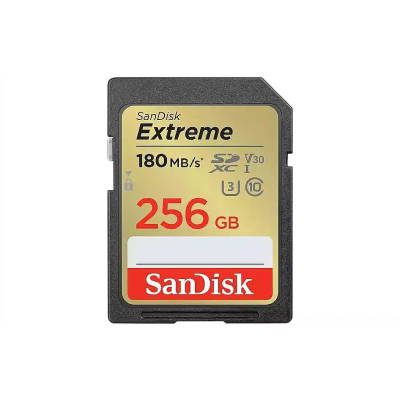 Pomnilniška kartica Sandisk (SDSDXVV-256G-GNCIN)