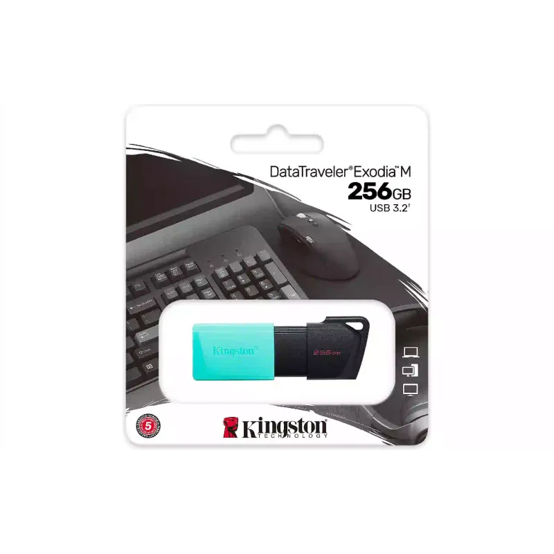 USB-pogon Kingston, Black (DTXM/256GB)