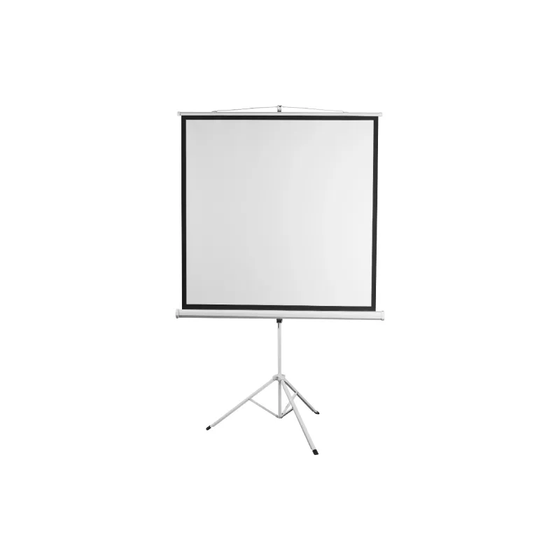Screen on a tripod 2E 118"  (0011118T)