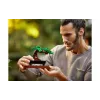 Konstruktor LEGO Icons Bonsai (10281-)