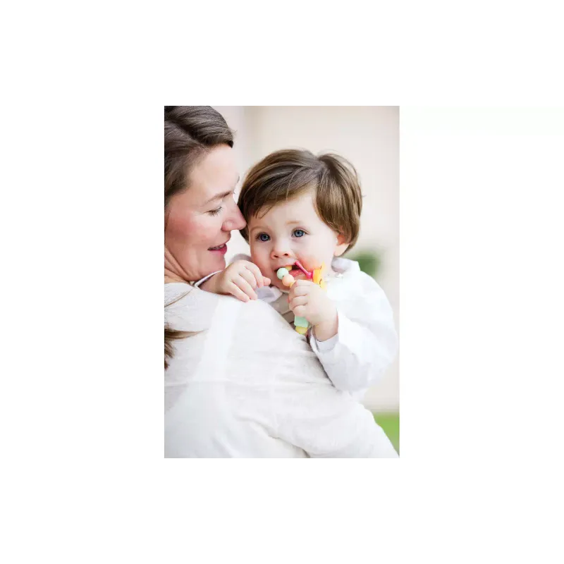 Porta-chupeta Nattou (879316)