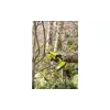 Секатор Ryobi ONE+ RY18SCA-0 (5133005024), акумуляторний