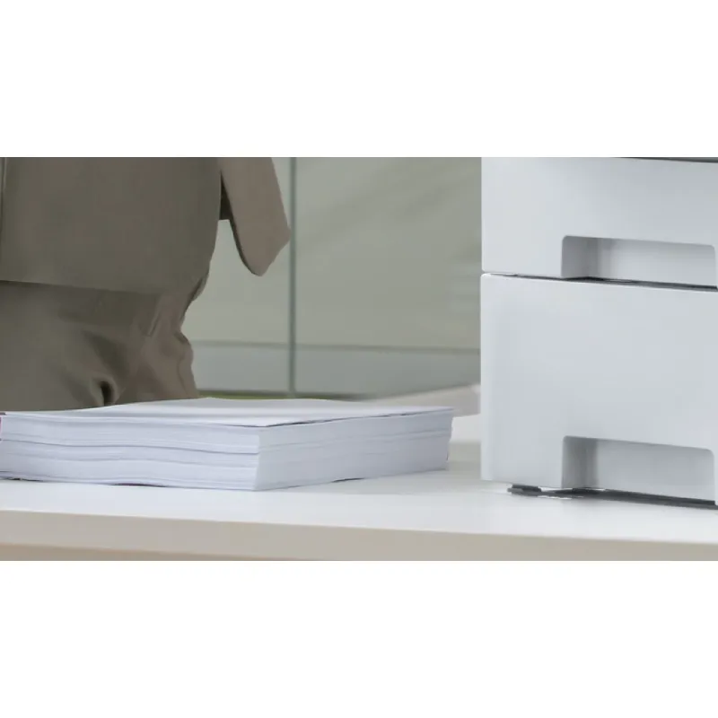 Nyomtató Pantum (BP5100DN)