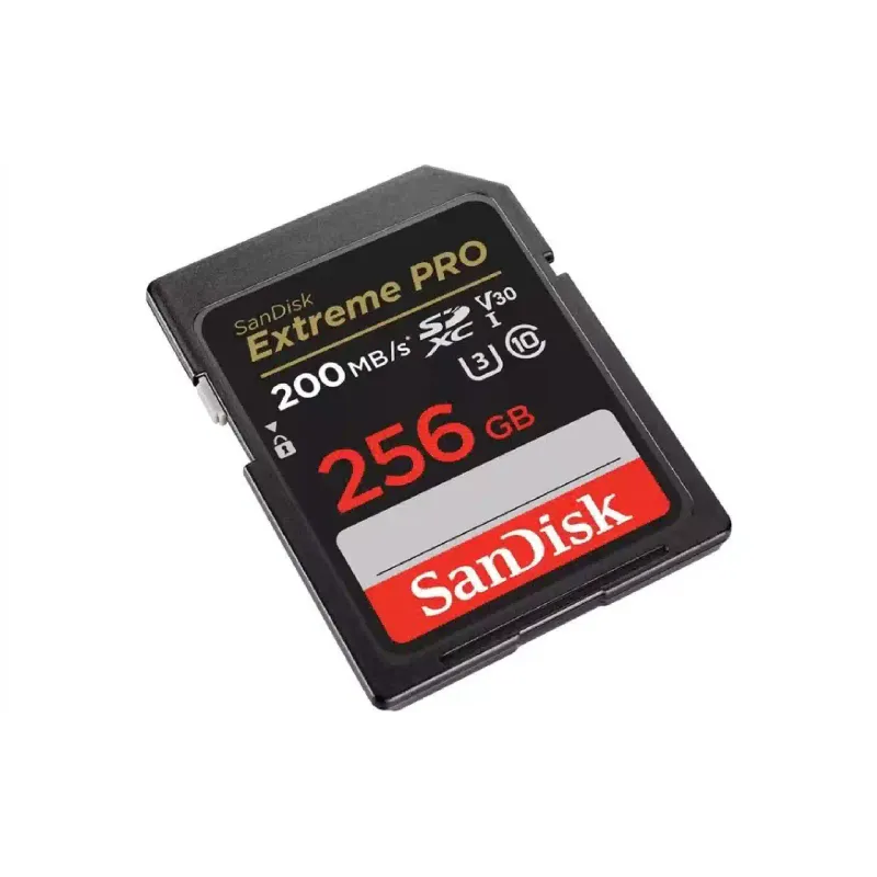 Карта памяти Sandisk 256Gb (SDSDXXD-256G-GN4IN)