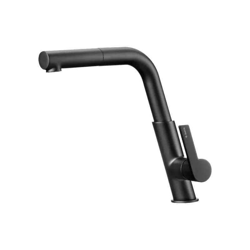 Torneira de cozinha Deante, Black (BQS_N73M)