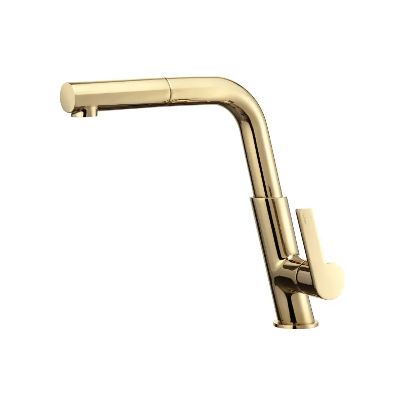 Βρύση κουζίνας Deante (BQS_Z73M)