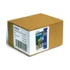 Papel Epson Premium Glossy Photo Paper (C13S041826)