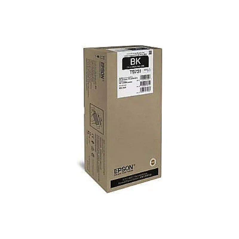 Cartucho Epson, Black (C13T973100)