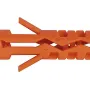 Clavija Mungo (1041250)