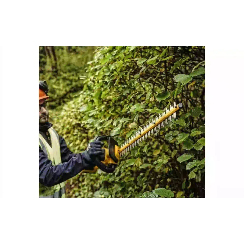 Heckenschere DeWALT (DCMPH566P1)