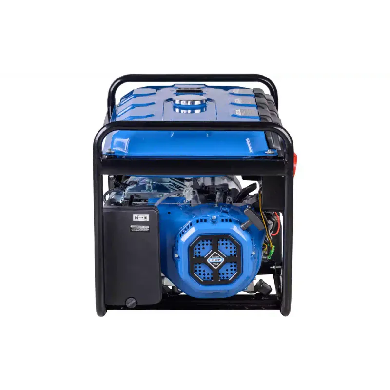 Generador de gasolina EnerSol (EPG-7500TE)