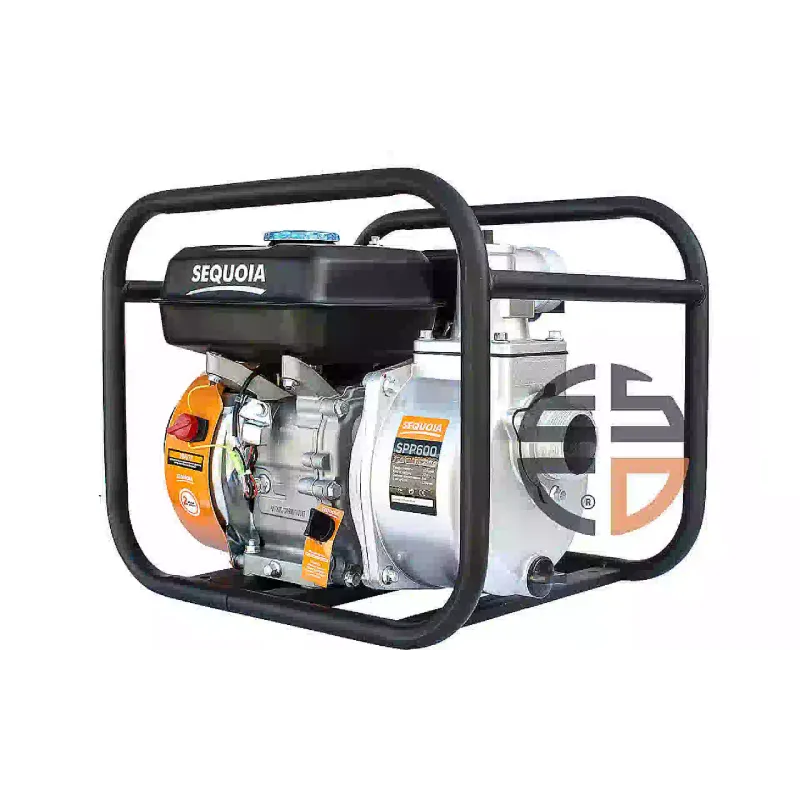 Gasoline motor pump Sequoia (SPP600)