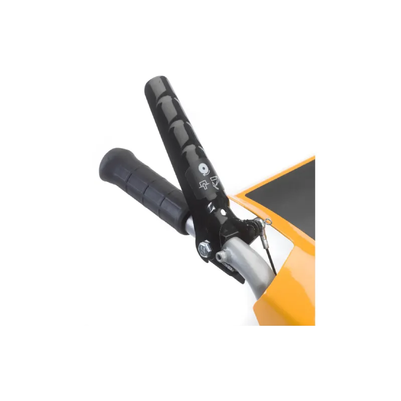 Kehrmaschine Stiga (SWS800GE)