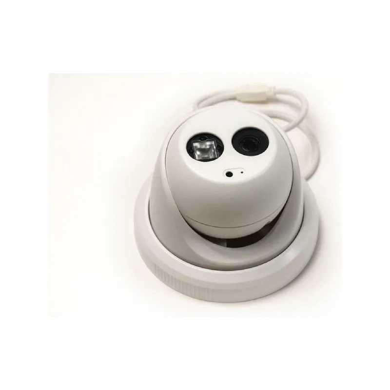 IP-videokamera IP Eco (HDW4200ECO)