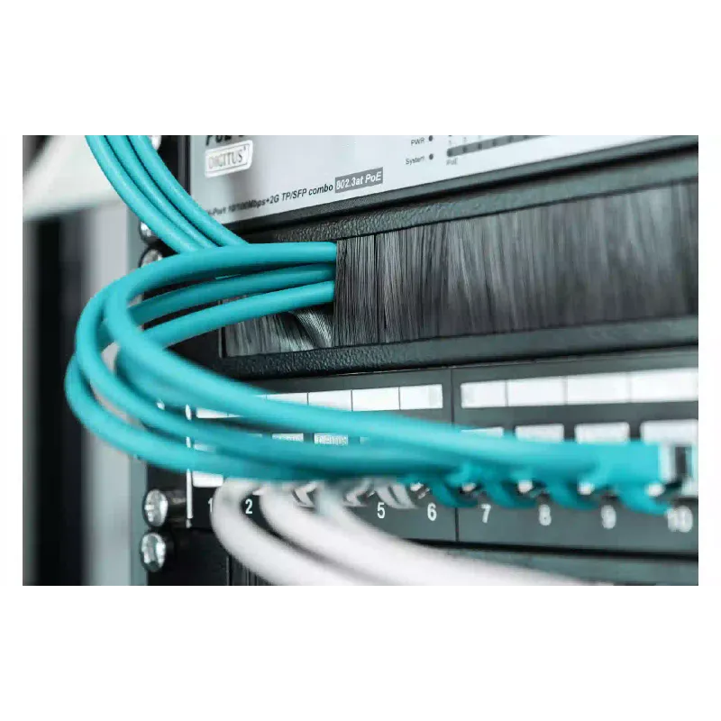 Organizator kablov Digitus (DN-97661)