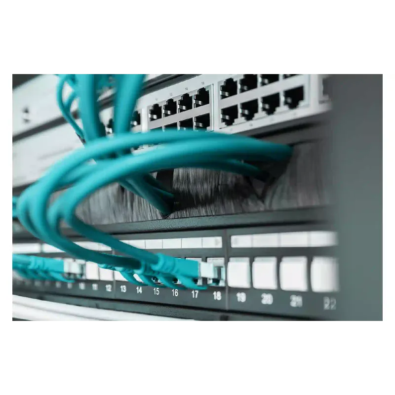 Organizator kablov Digitus (DN-97661)