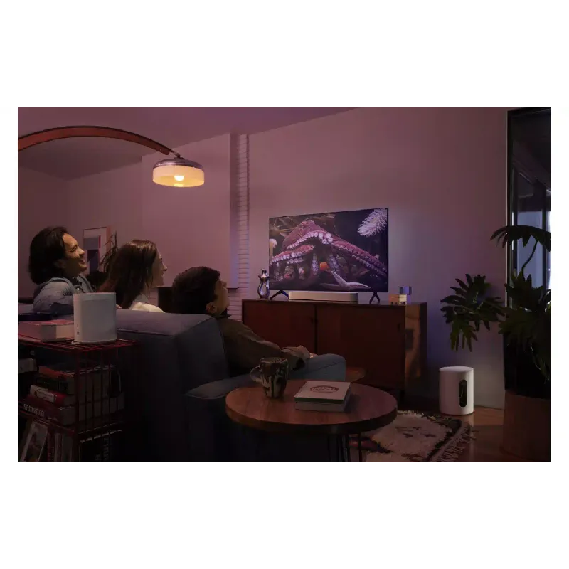 Nizkotonec Sonos (SUBM1EU1)