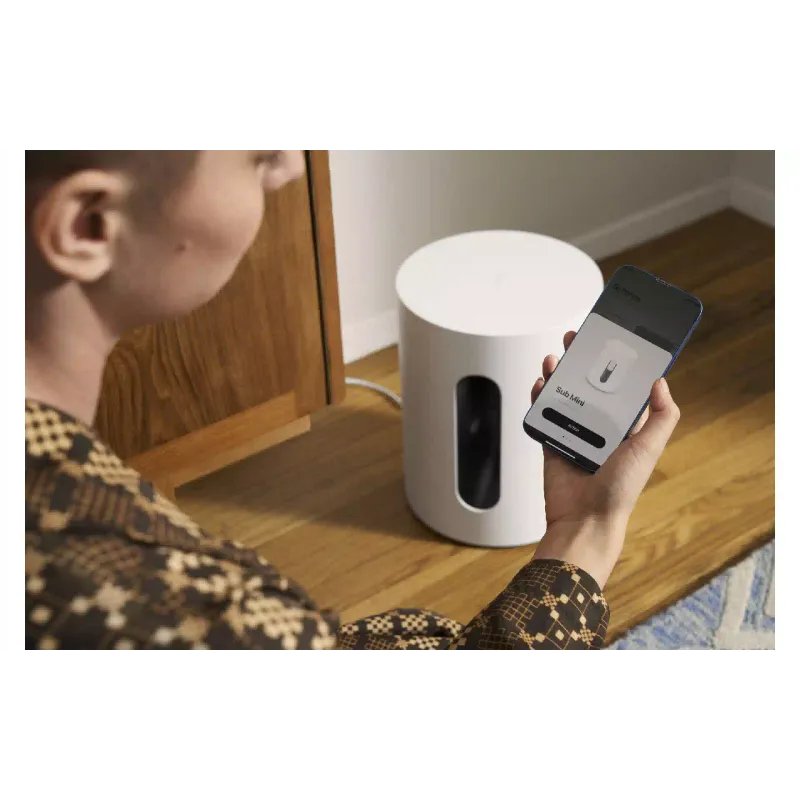 Nizkotonec Sonos (SUBM1EU1)