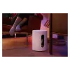 Nizkotonec Sonos (SUBM1EU1)