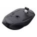 Rato Trust (24727_TRUST)