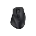Rato Trust (24727_TRUST)