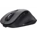 Rato Trust (24727_TRUST)