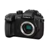 Camera Panasonic GH5M2 (DC-GH5M2EE)